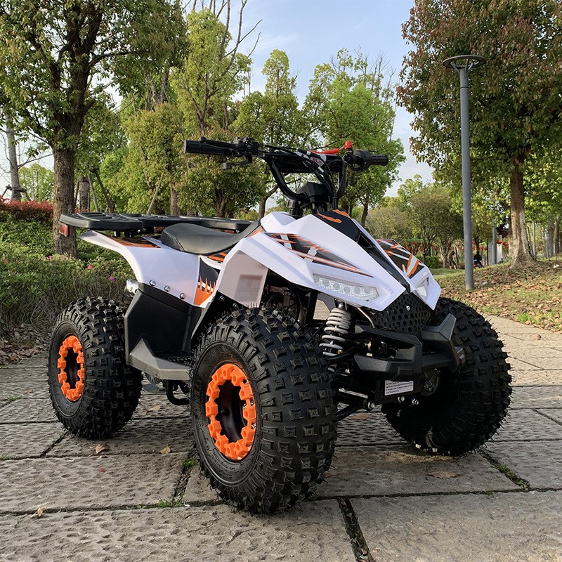 125CC ATV, 소형 팔콘 전지형 차량, 성인용 오 - Outdoor Adventure Quad Biking 리뷰 및 가격