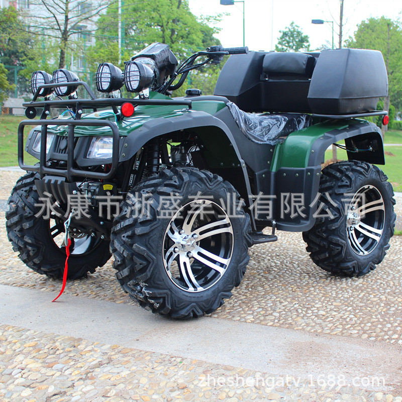 ATV 250cc, 4륜 전지형 차량, 오프로드 쿼드  - Outdoor Adventure Quad Biking 리뷰 및 가격